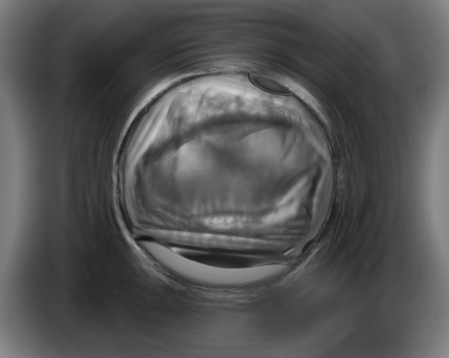 X0000086221047200704261832