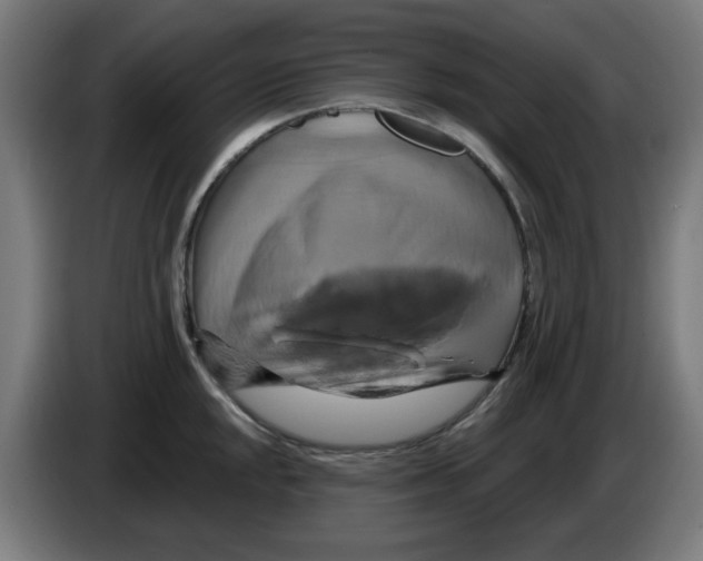 X0000086221048200704261832