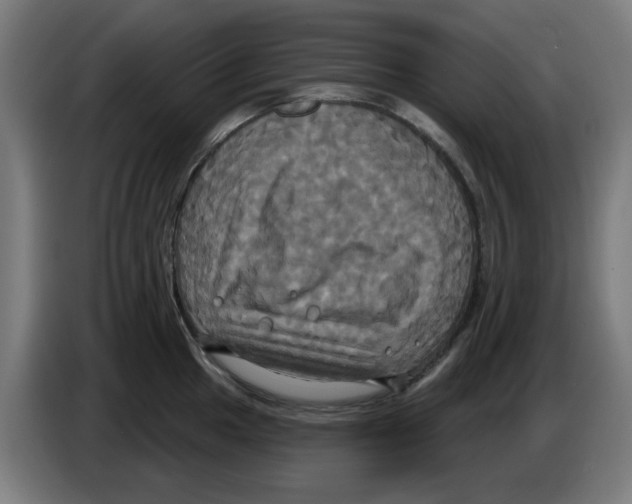 X0000086221049200704261832