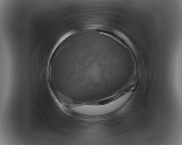 X0000086221050200704261832