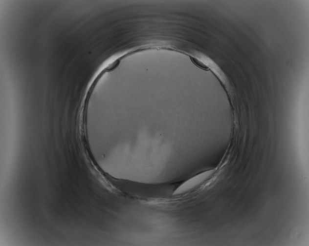 X0000086221052200704261832