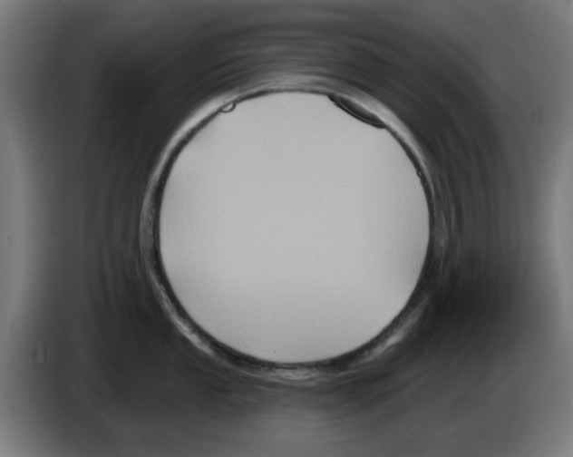 X0000086221053200704261832