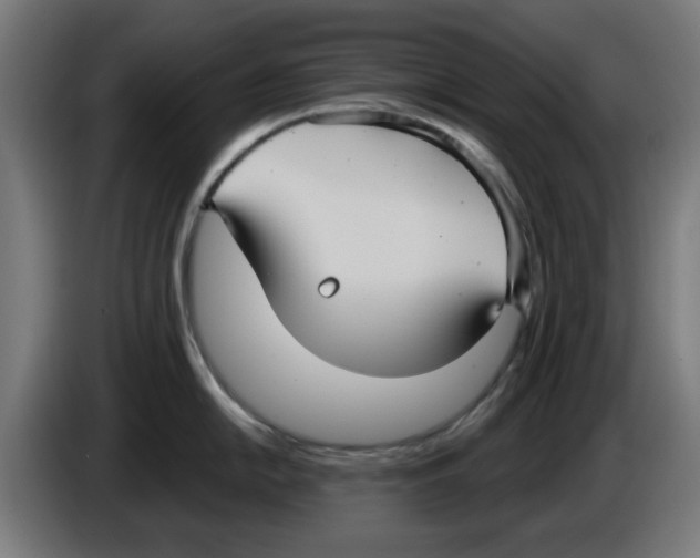 X0000086221054200704261832