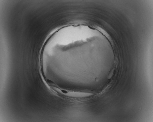 X0000086221055200704261832