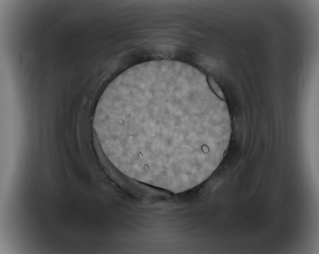 X0000086221057200704261832