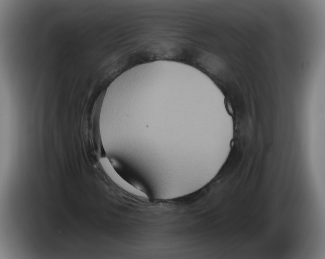 X0000086221058200704261832