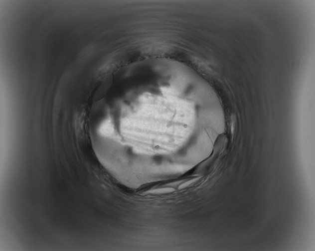 X0000086221059200704261832