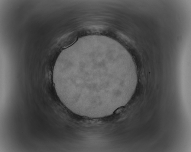 X0000086221061200704261832