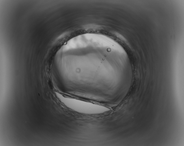 X0000086221063200704261832