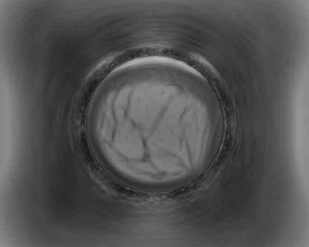 X0000086221064200704261832