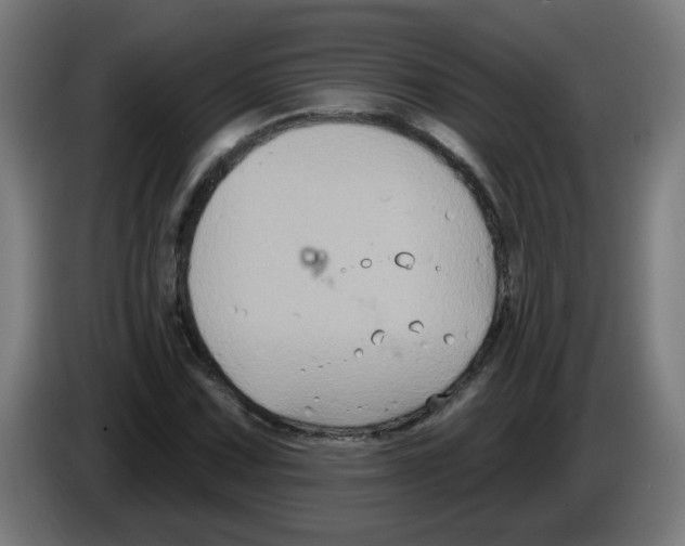 X0000086221067200704261832