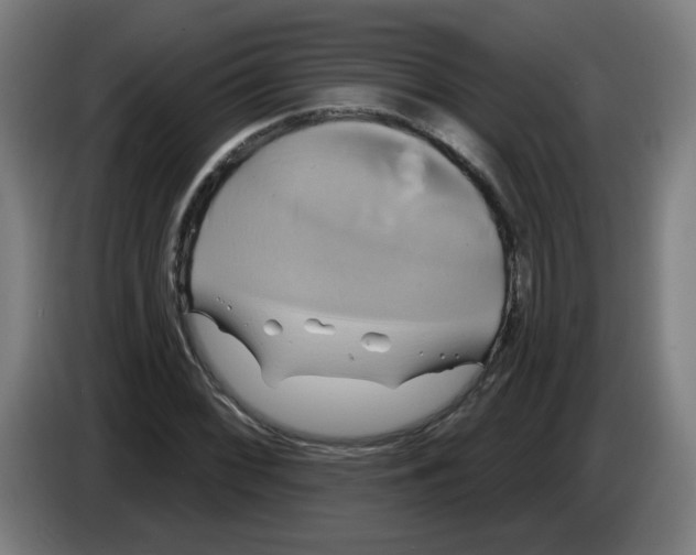 X0000086221068200704261832