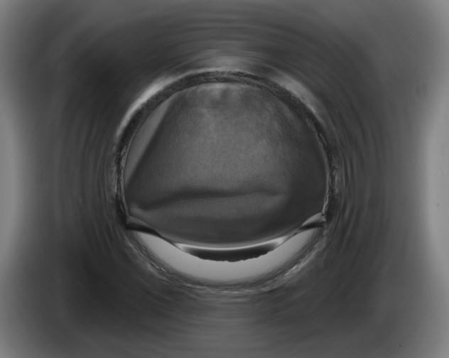 X0000086221069200704261832