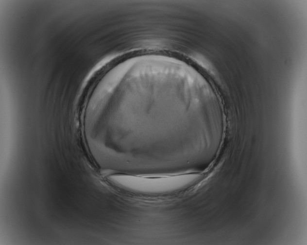 X0000086221070200704261831