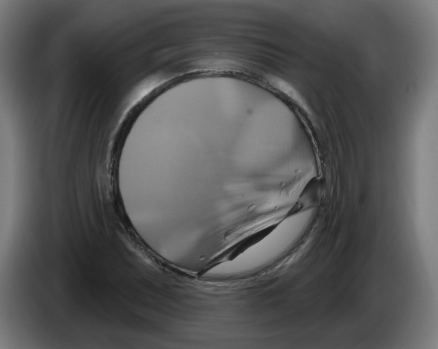 X0000086221071200704261831