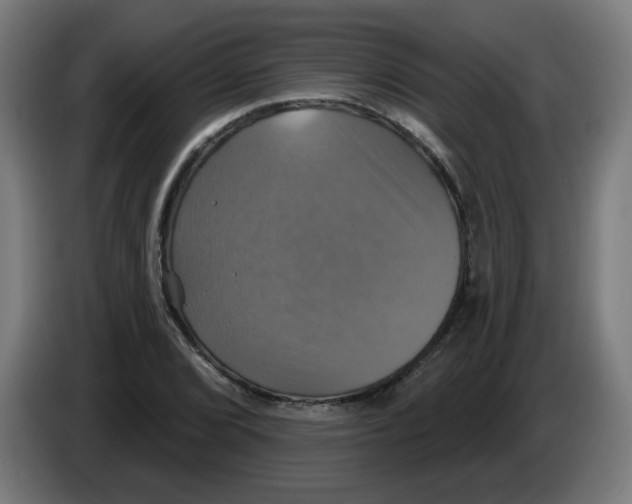 X0000086221072200704261831