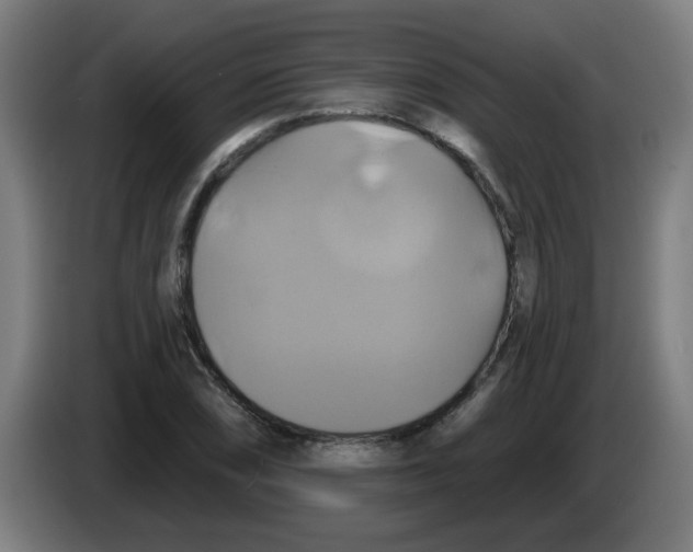 X0000086221074200704261831