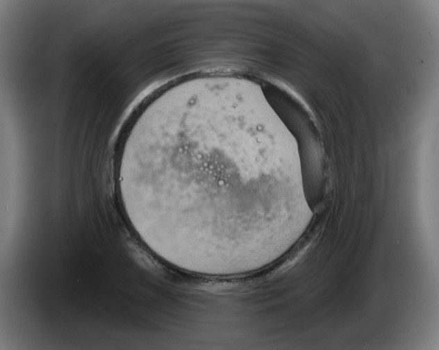 X0000086221075200704261831