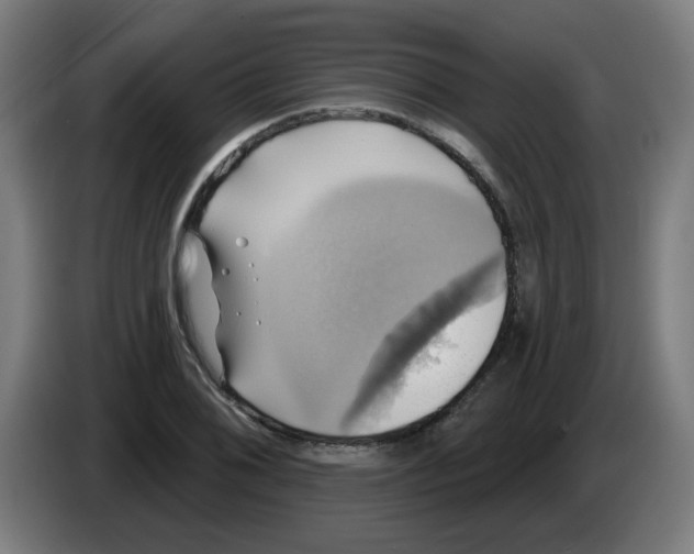 X0000086221076200704261831