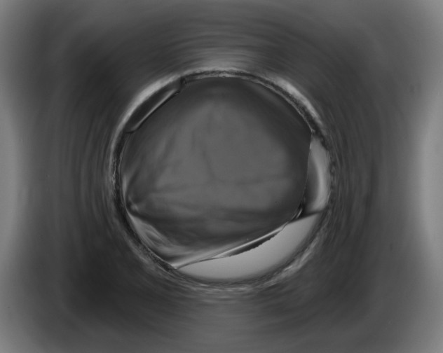 X0000086221077200704261831