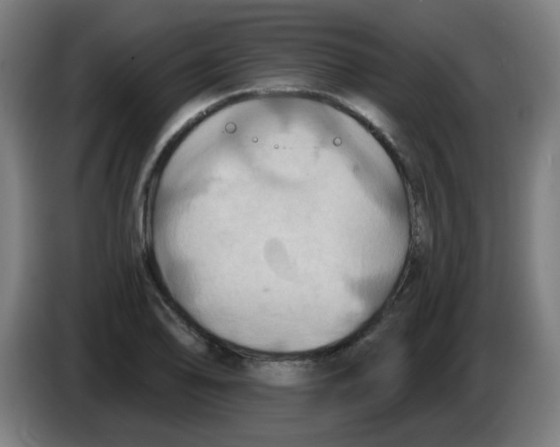 X0000086221078200704261831