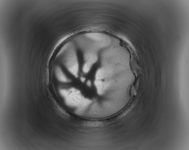 X0000086221079200704261831