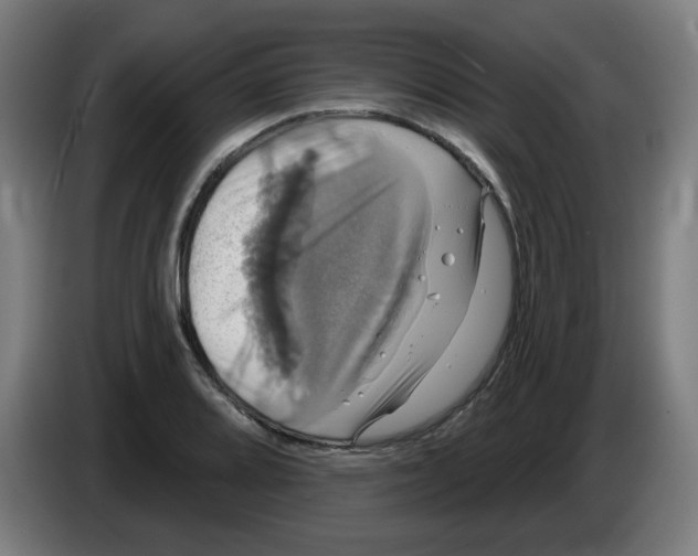 X0000086221080200704261831