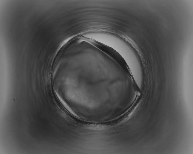 X0000086221081200704261831