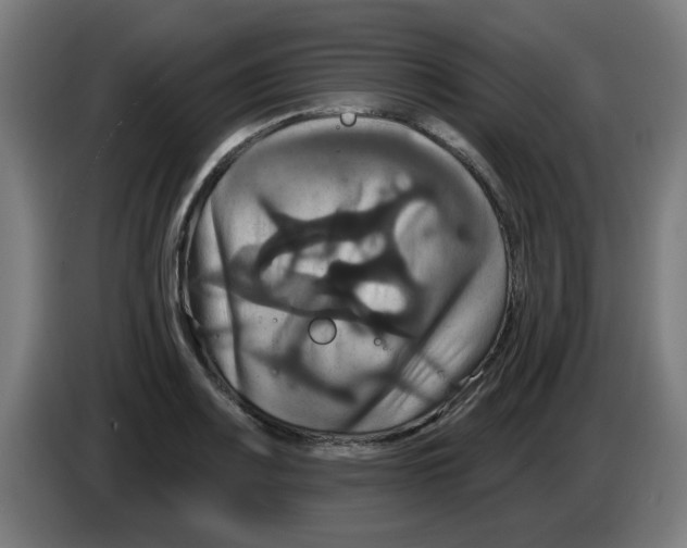 X0000086221083200704261831