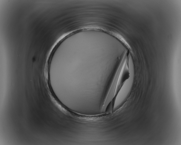 X0000086221084200704261831