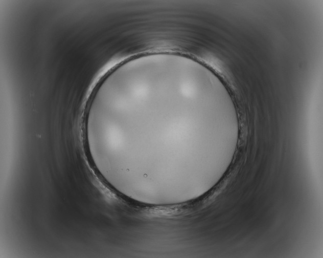 X0000086221086200704261831