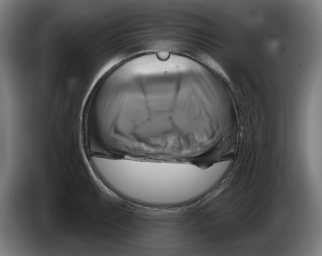 X0000086221087200704261831