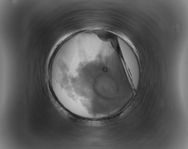 X0000086221088200704261831