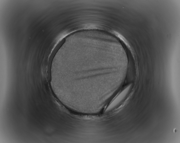 X0000086221089200704261831