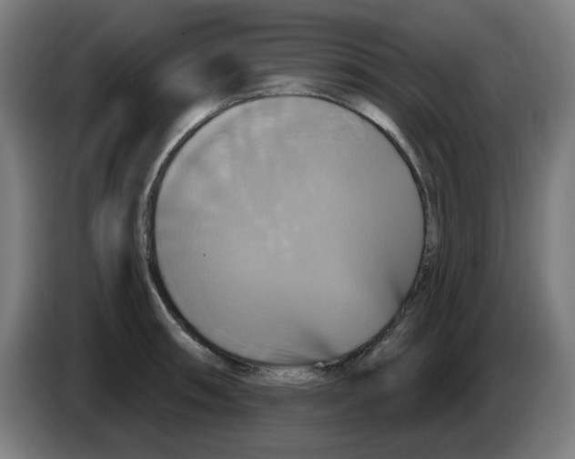 X0000086221090200704261831