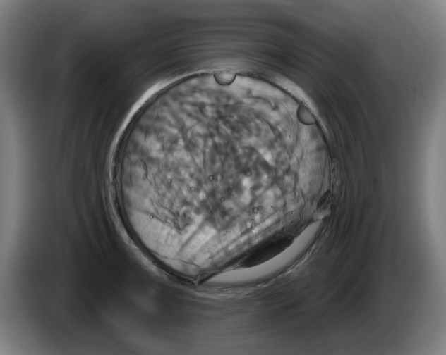 X0000086221091200704261831