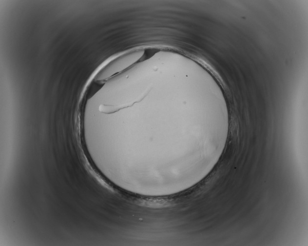 X0000086221092200704261831