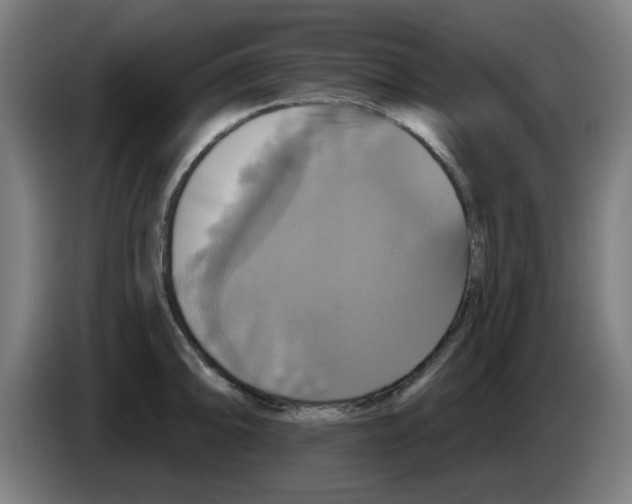 X0000086221094200704261831