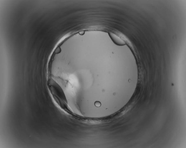 X0000086221095200704261831