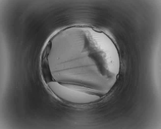 X0000086221096200704261831