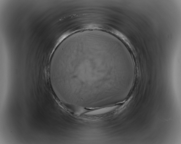 X0000086221097200704261831