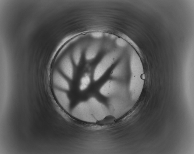 X0000086221099200704261831