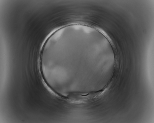 X0000086221100200704261831