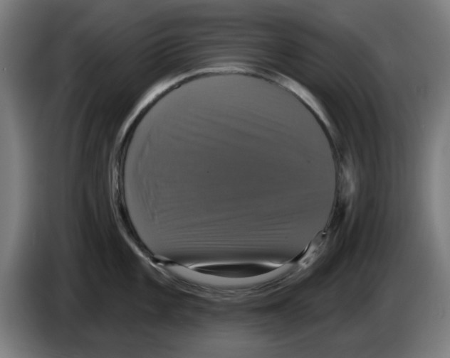 X0000086221101200704261831