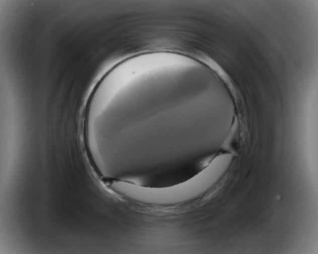 X0000086221102200704261831