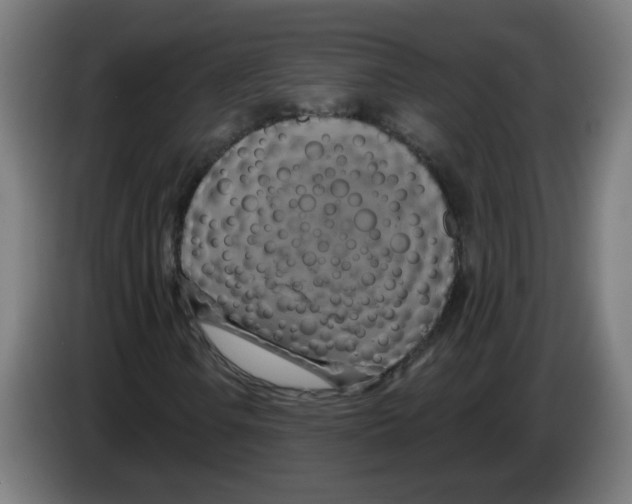 X0000086221106200704261830