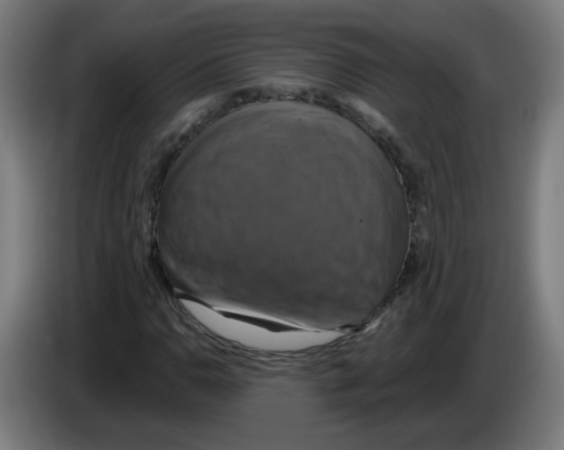 X0000086221110200704261831