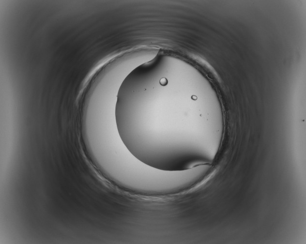 X0000086221114200704261831