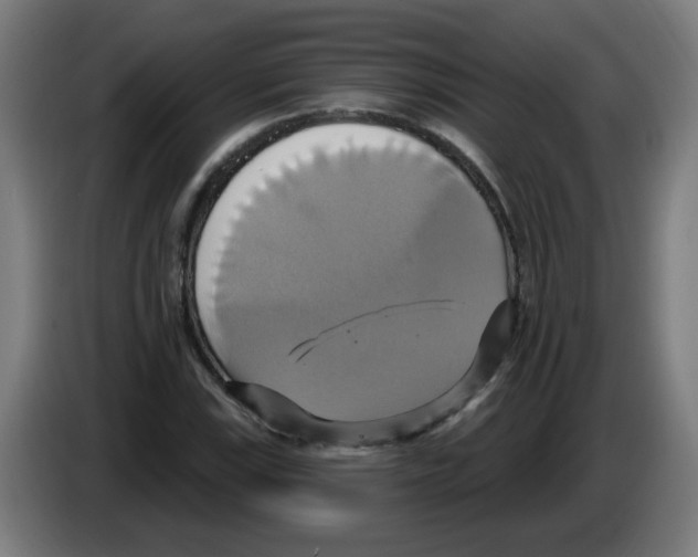 X0000086221115200704261831