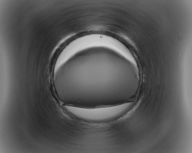 X0000086221117200704261831